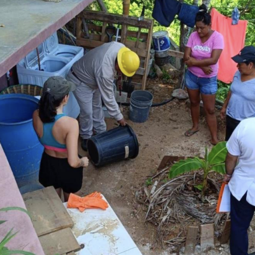 Oaxaca, entre 5 estados con más casos de dengue en el país; confirman aumento de pacientes